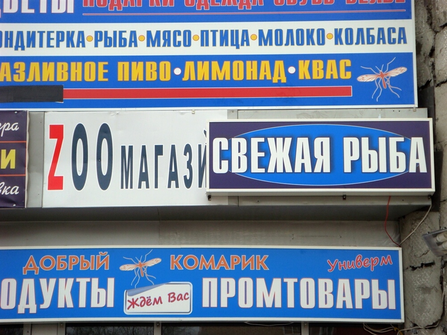 Фото жизнь