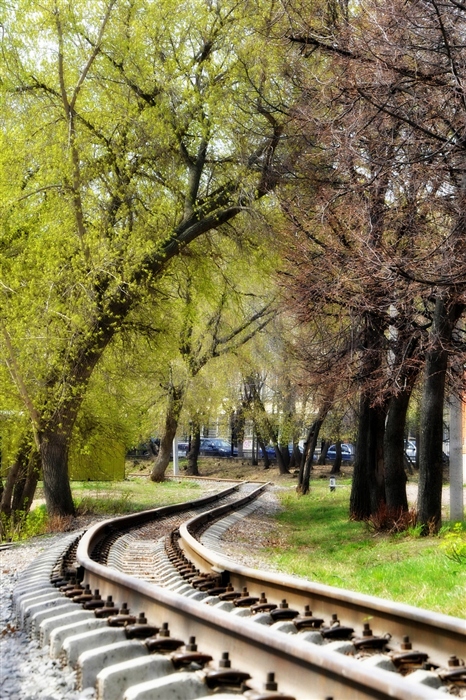 Фото жизнь