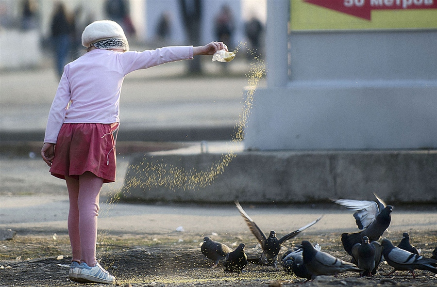 Фото жизнь