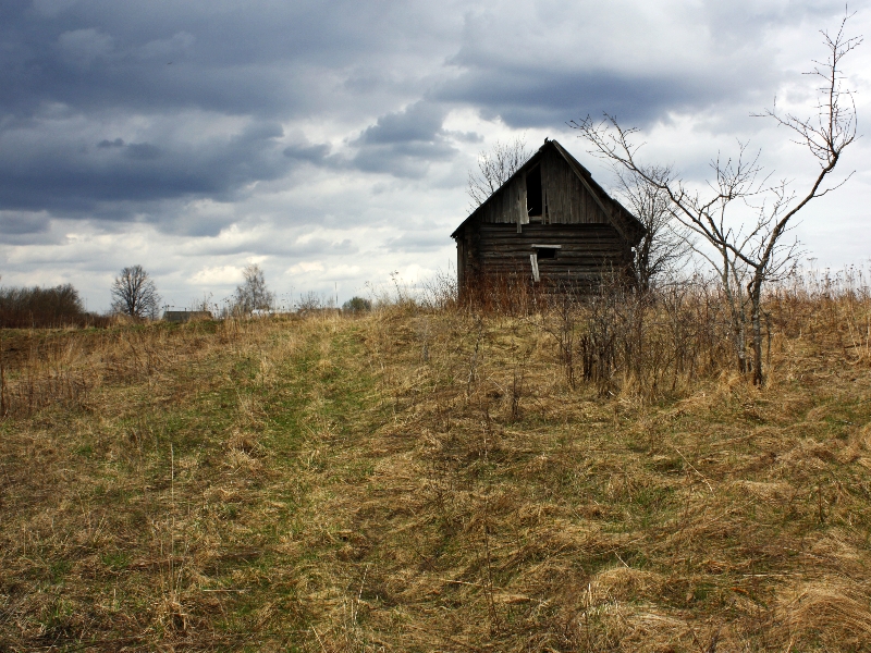 Фото жизнь