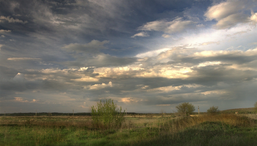 Фото жизнь