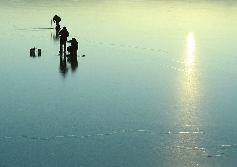 Фото жизнь (light) - INN - корневой каталог - ---