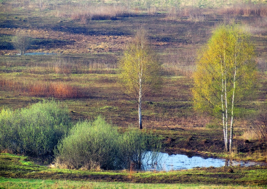 Фото жизнь