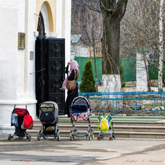 Фото жизнь