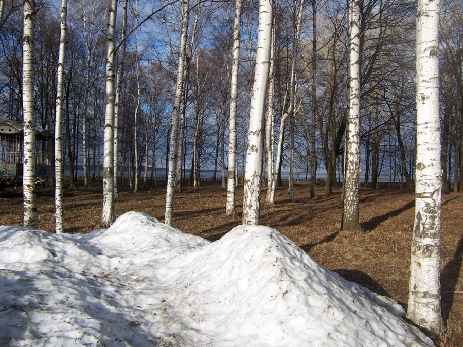 Фото жизнь