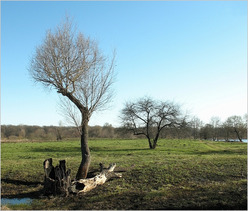Фото жизнь (light) - INN - корневой каталог - ---