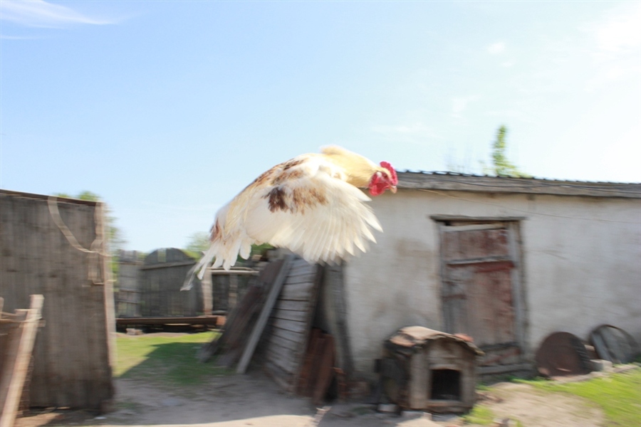 Фото жизнь