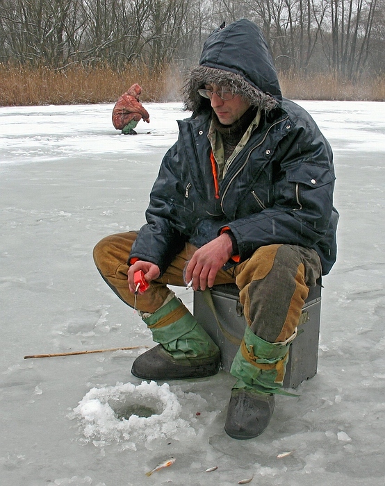 Фото жизнь (light) - INN - корневой каталог - ---