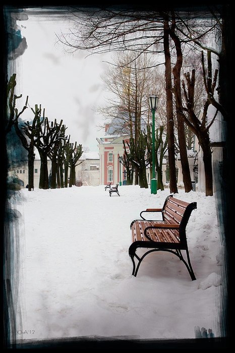 Фото жизнь