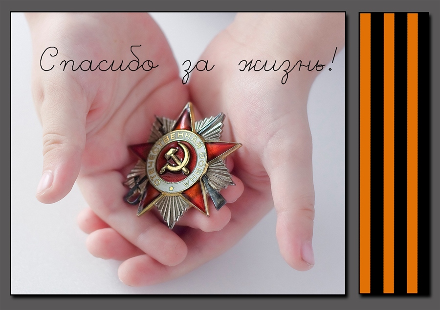 Фото жизнь