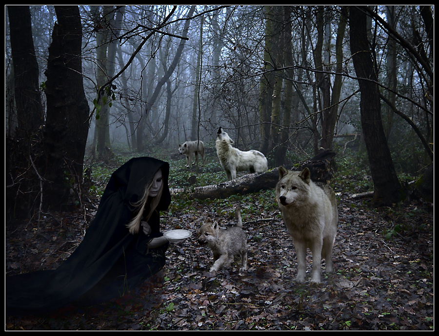 Фото жизнь (light) - Ковалев Евгений - корневой каталог - Queen of wolves