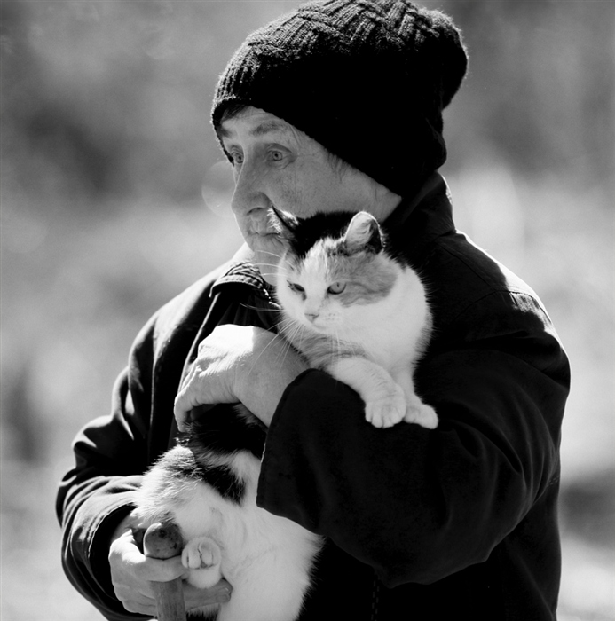 Фото жизнь