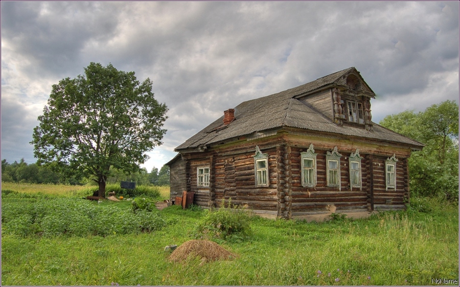 Фото жизнь