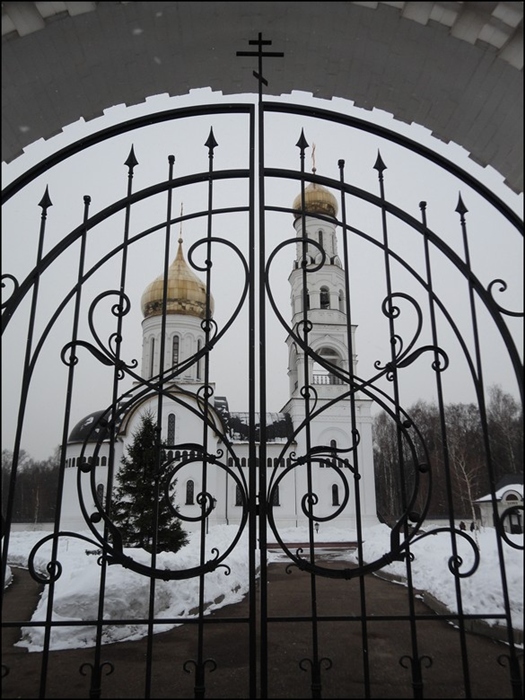 Фото жизнь