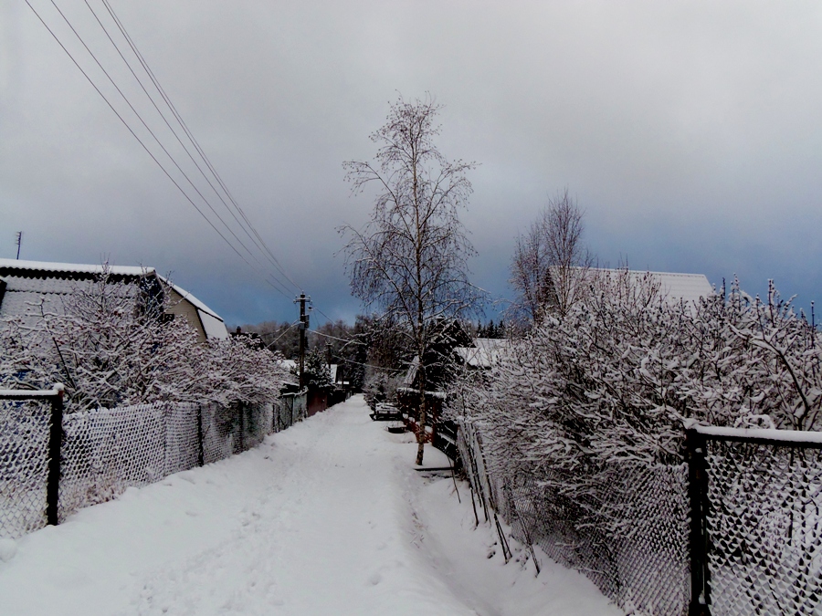 Фото жизнь