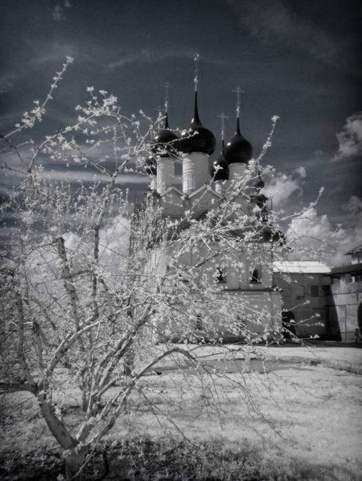 Фото жизнь