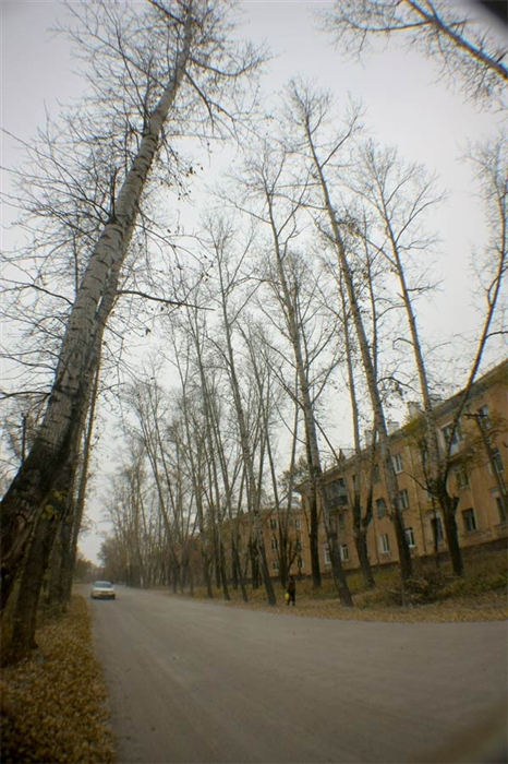 Фото жизнь