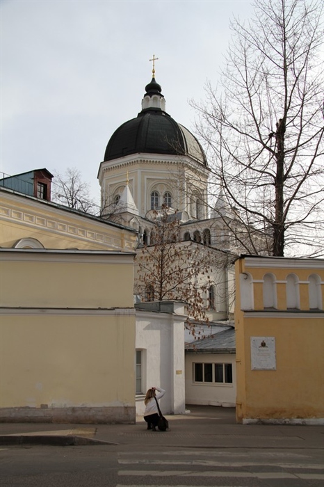 Фото жизнь