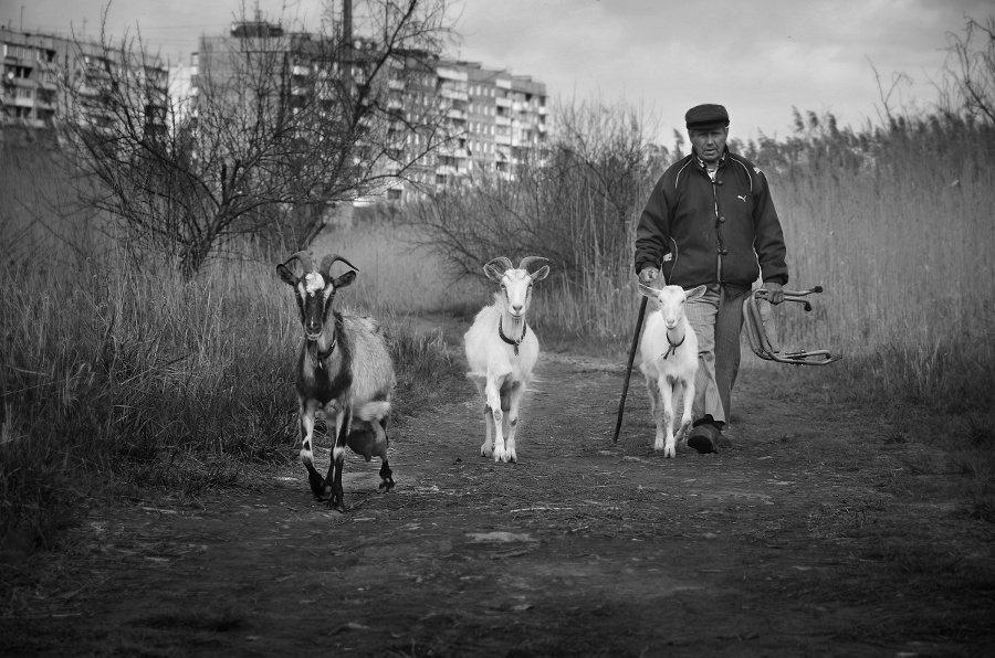 Фото жизнь (light) - Евгений Смердов - корневой каталог - жизнь в городе и не только ...