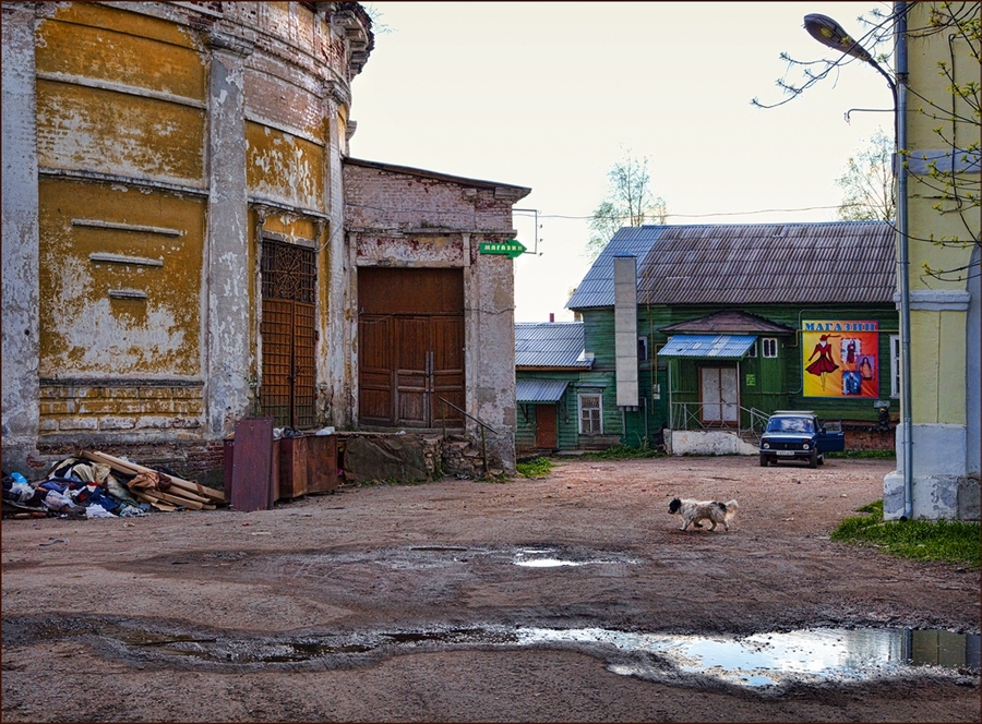 Фото жизнь