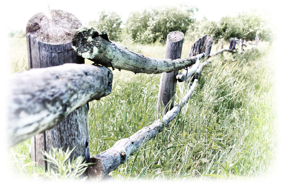 Фото жизнь - Андрей Жадько - Молитва лета - Старый забор
