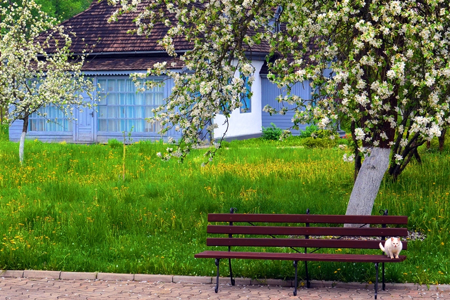 Фото жизнь