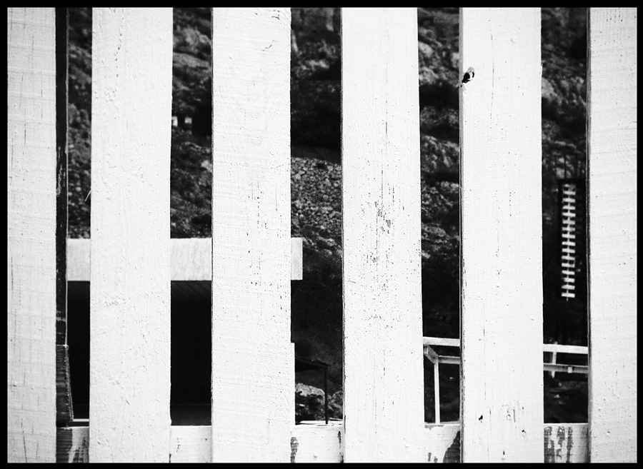 Принцип леса