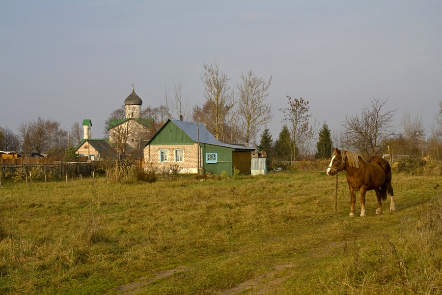 Фото жизнь