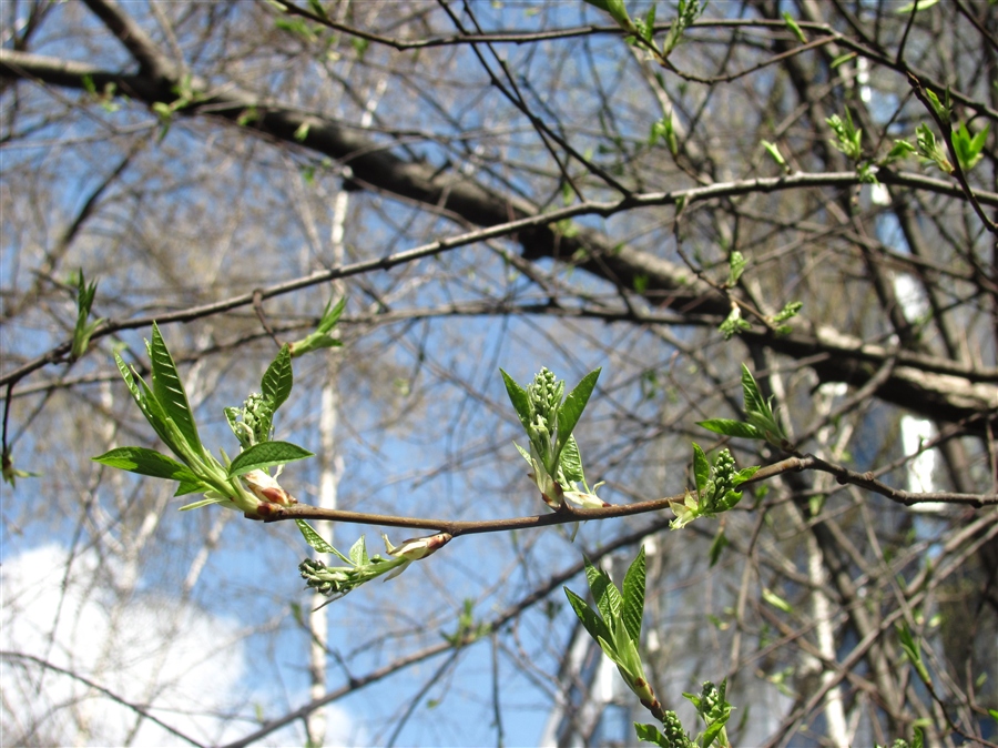 Фото жизнь