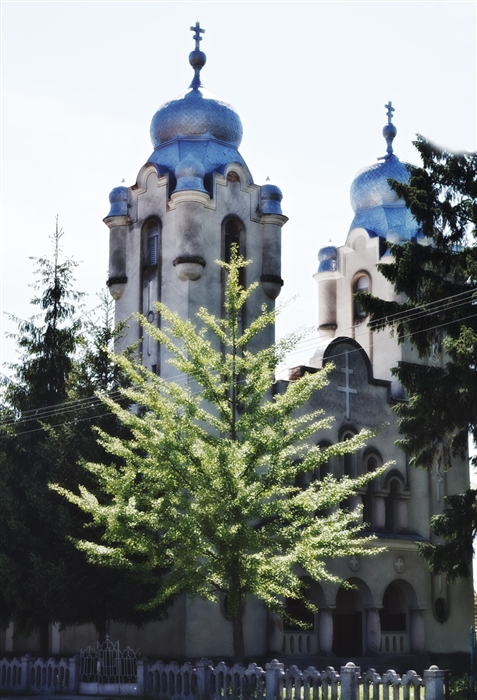 Фото жизнь