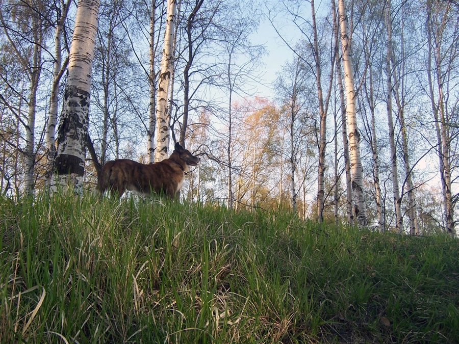 Фото жизнь