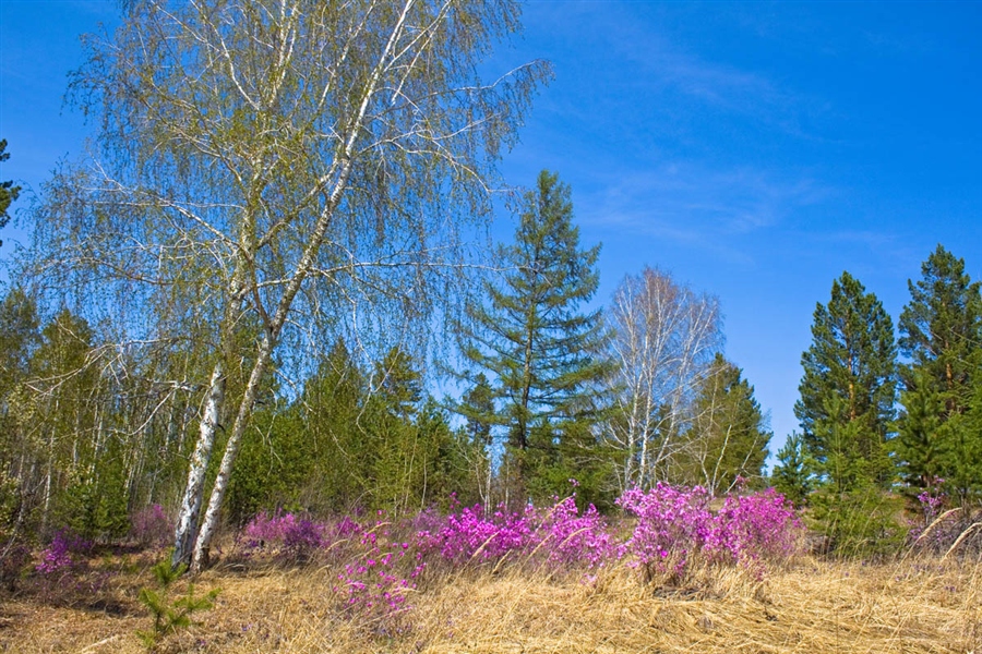 Фото жизнь