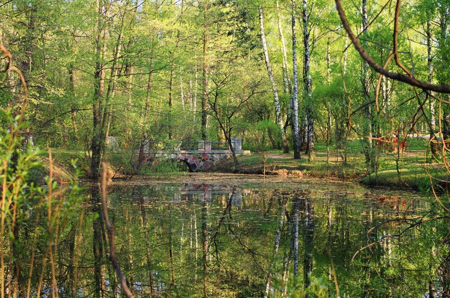 Фото жизнь