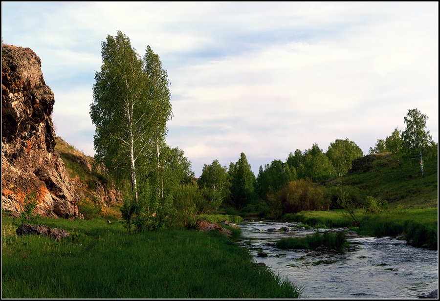 Фото жизнь