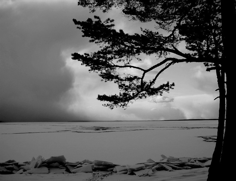 Фото жизнь (light) - Наталья Романова - пейзажи - о надвигающейся снежной буре