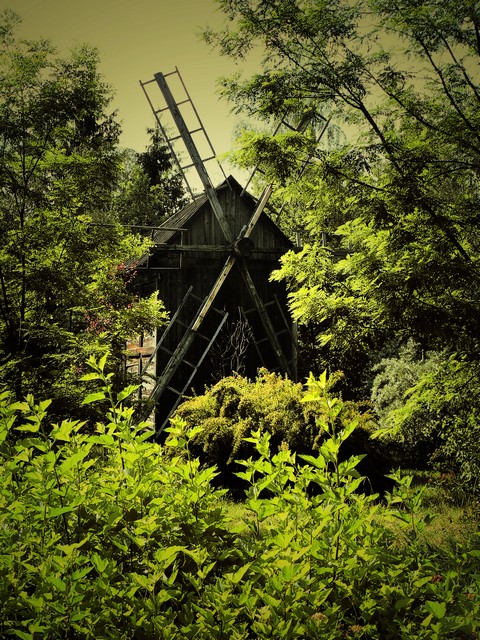 Фото жизнь (light) - kezone - корневой каталог - ))