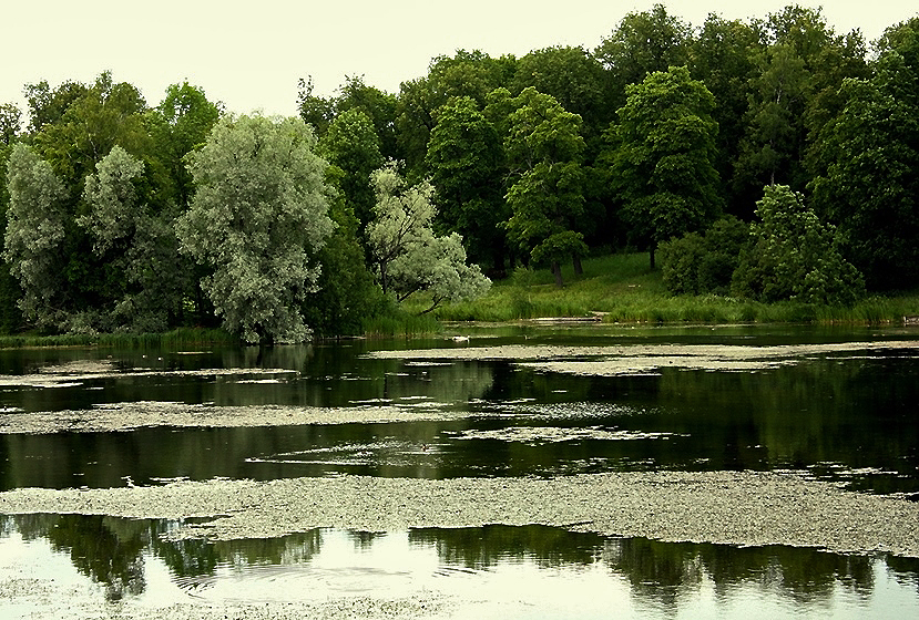 Фото жизнь (light) - Ирина Мирошниченко (Sulancho) - корневой каталог - Белое озеро