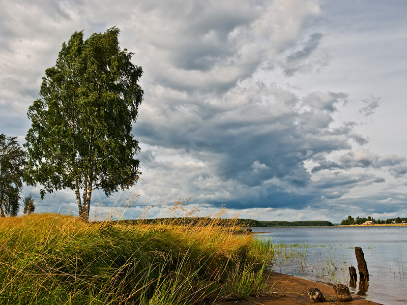 Фото жизнь (light) - Логиновский Денис - Природа Верхнекамья - Берег летних грёз