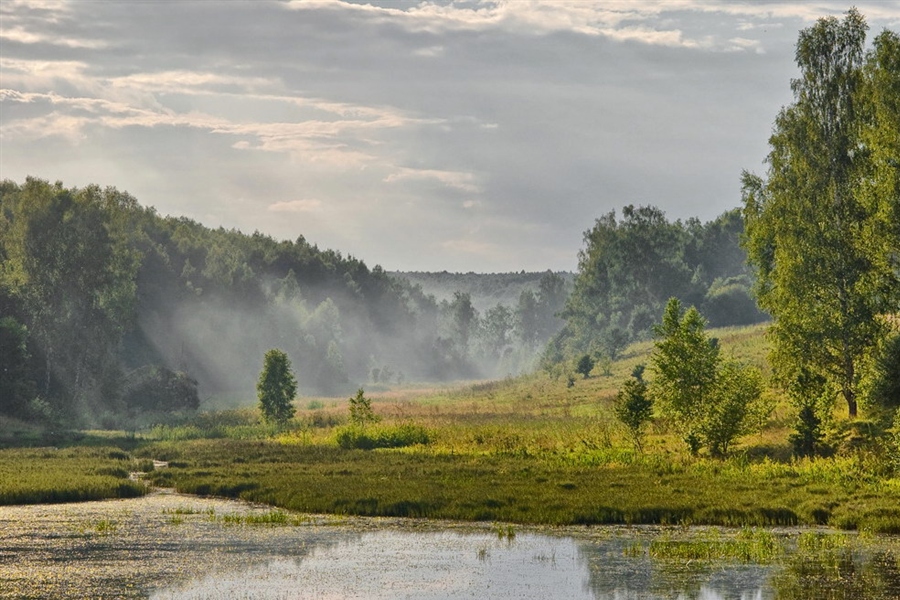 Фото жизнь