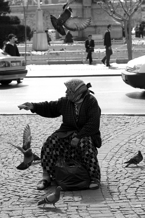 Фото жизнь (light) - Dmitry Chichera - корневой каталог - Женщина и голуби