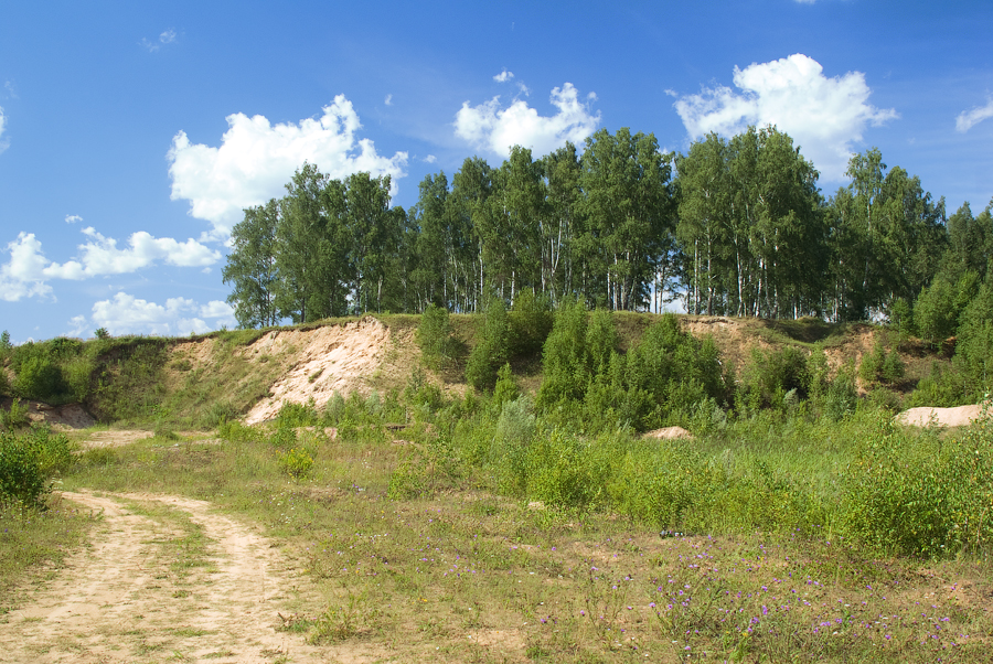 Фото жизнь