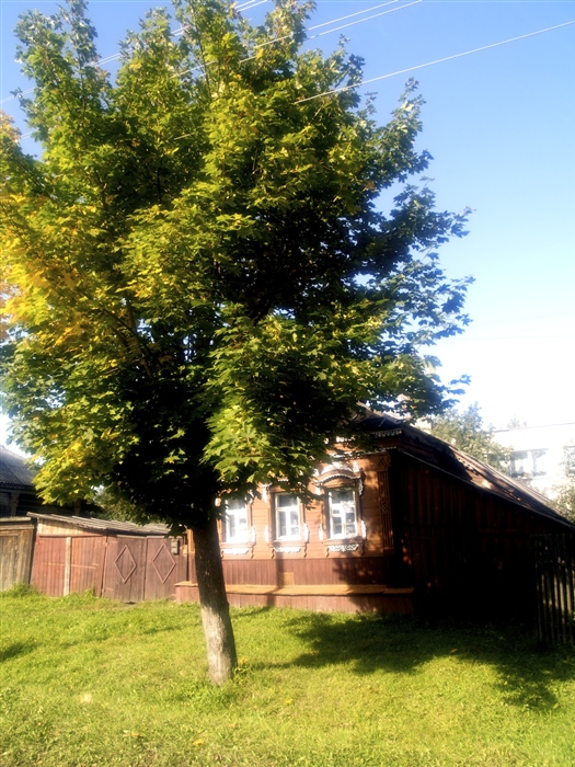 Фото жизнь