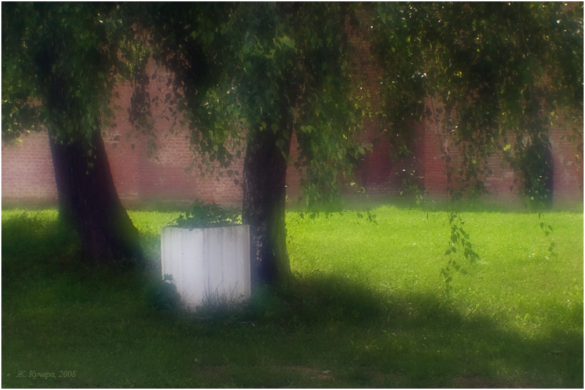 Фото жизнь (light) - Жанна Кучера - МоноклЁвые картинки - Коломна. березовая