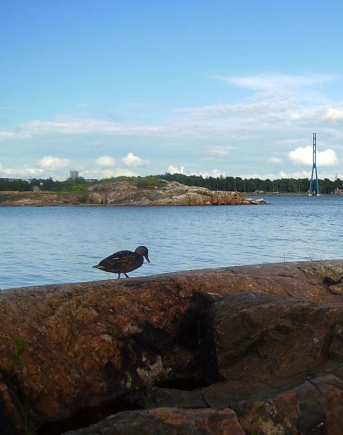 прогулки у моря
