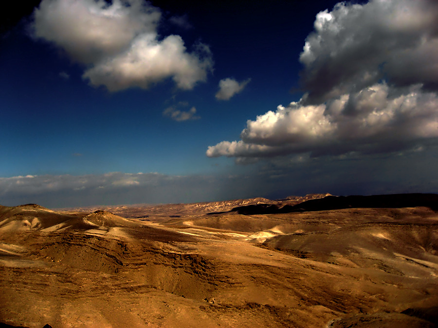 Фото жизнь (light) - NeimanD - корневой каталог - Зима в пустыне