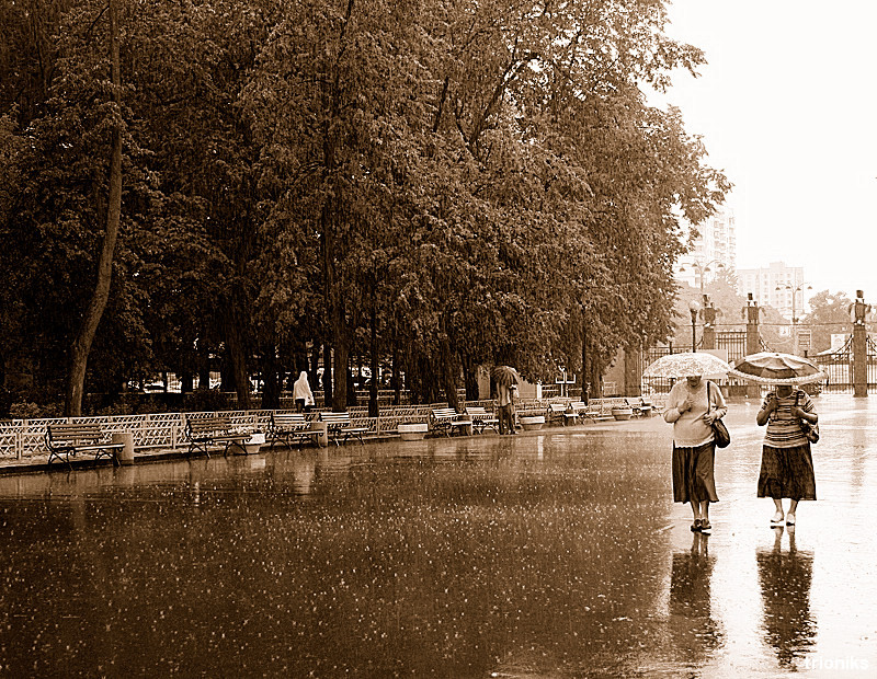 Фото жизнь (light) - trioniks Людмила - 2008 - Дождь