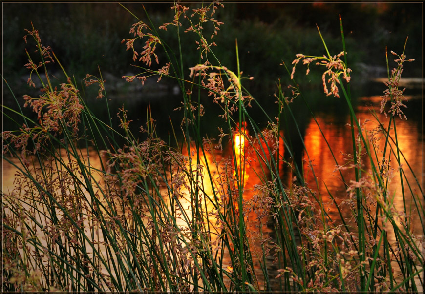 Фото жизнь (light) - Marishka - корневой каталог - Огненная вода