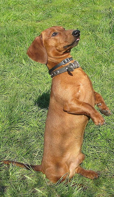 Фото жизнь (light) - Pregol - корневой каталог - попрашайка