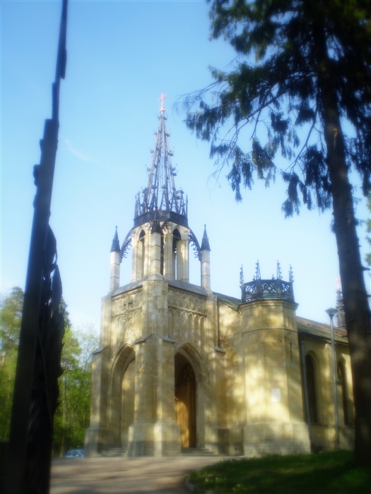 Фото жизнь