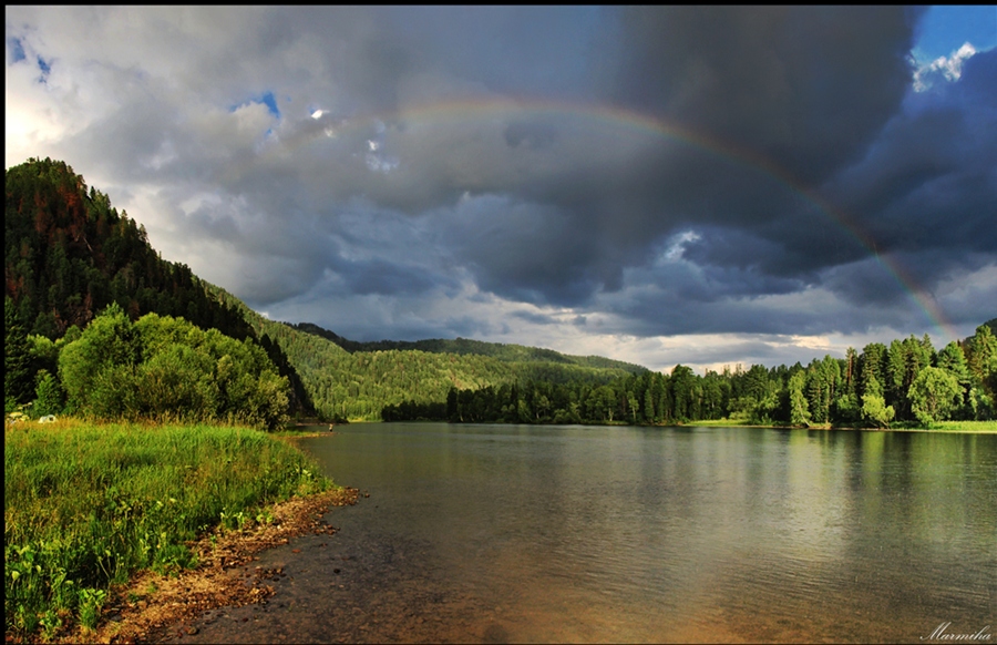 Фото жизнь
